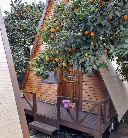 Oran Agac Bungalovs Ferienhaus