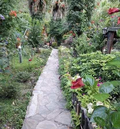 Oran Agac Bungalovs ケメル