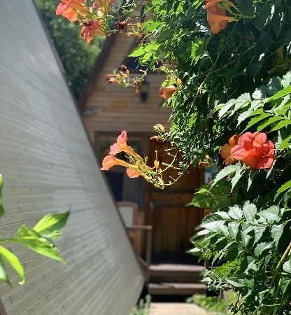 Oran Agac Bungalovs 別荘 *