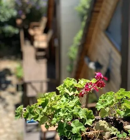 Oran Agac Bungalovs 別荘 ケメル